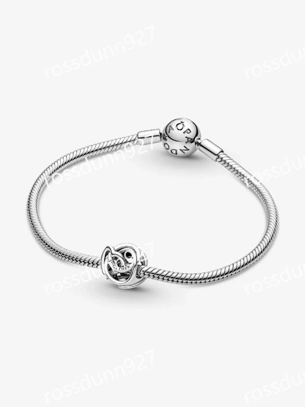 Pandora Family Always Encircled Heart Charm